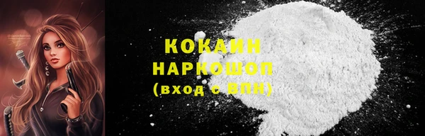 ПСИЛОЦИБИНОВЫЕ ГРИБЫ Арсеньев