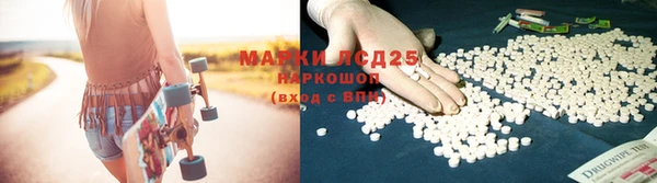 трава Аркадак