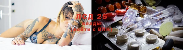 трава Аркадак