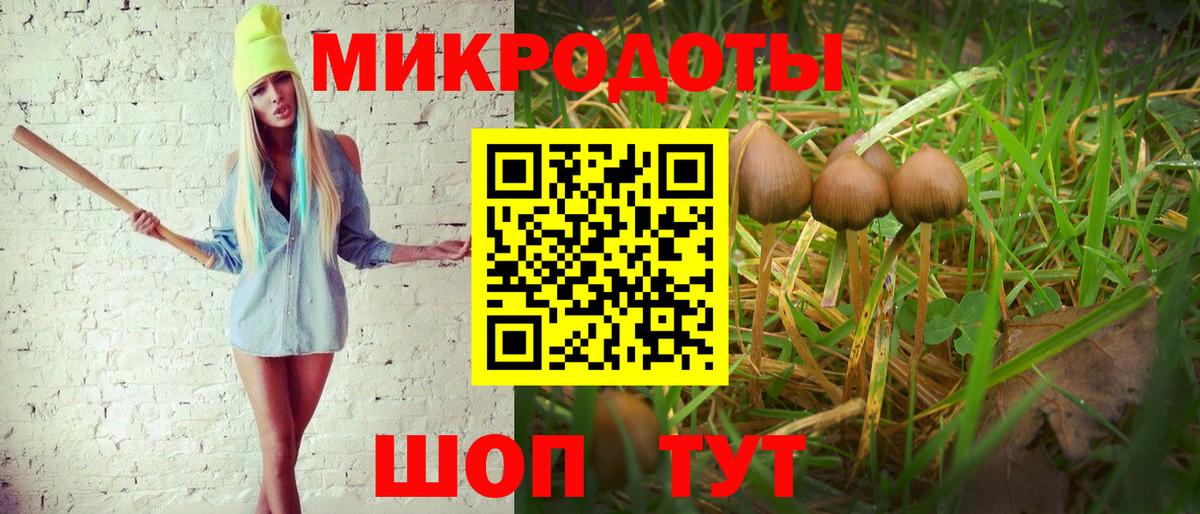 Псилоцибиновые грибы мицелий Балабаново
