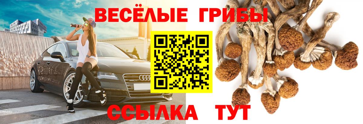 Псилоцибиновые грибы ЛСД  Галлюциногенные грибы Psilocybe  Балабаново  Вход с VPN 